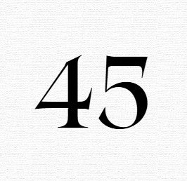 1.5 Ambrosia Confections Fall/Winter Filled Collection of Forty-Five